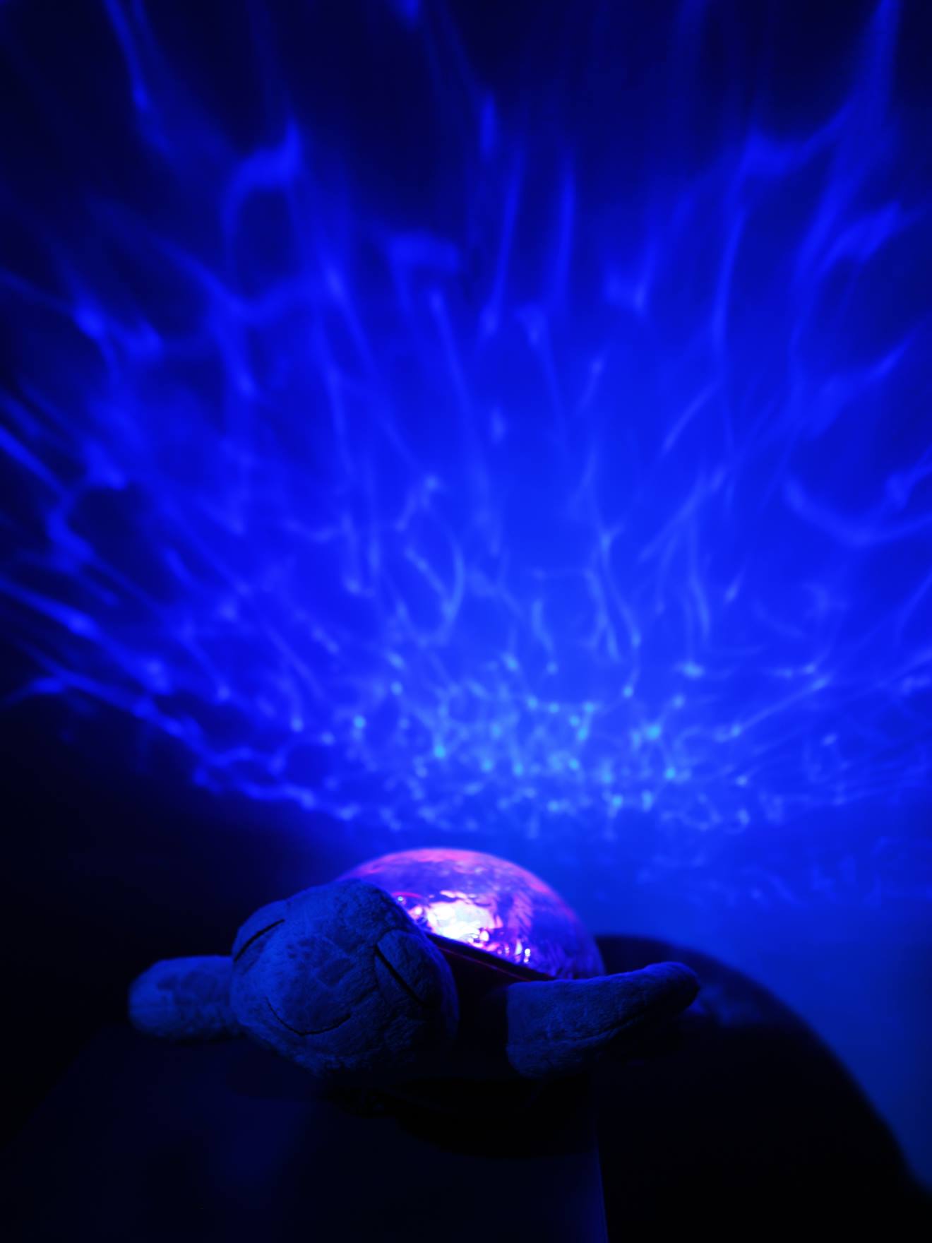 Cloud B Baby Einschlafhilfe SCHILDKRÖTE Tranquil Turtle Wiederaufladbar CLOUD B - blush