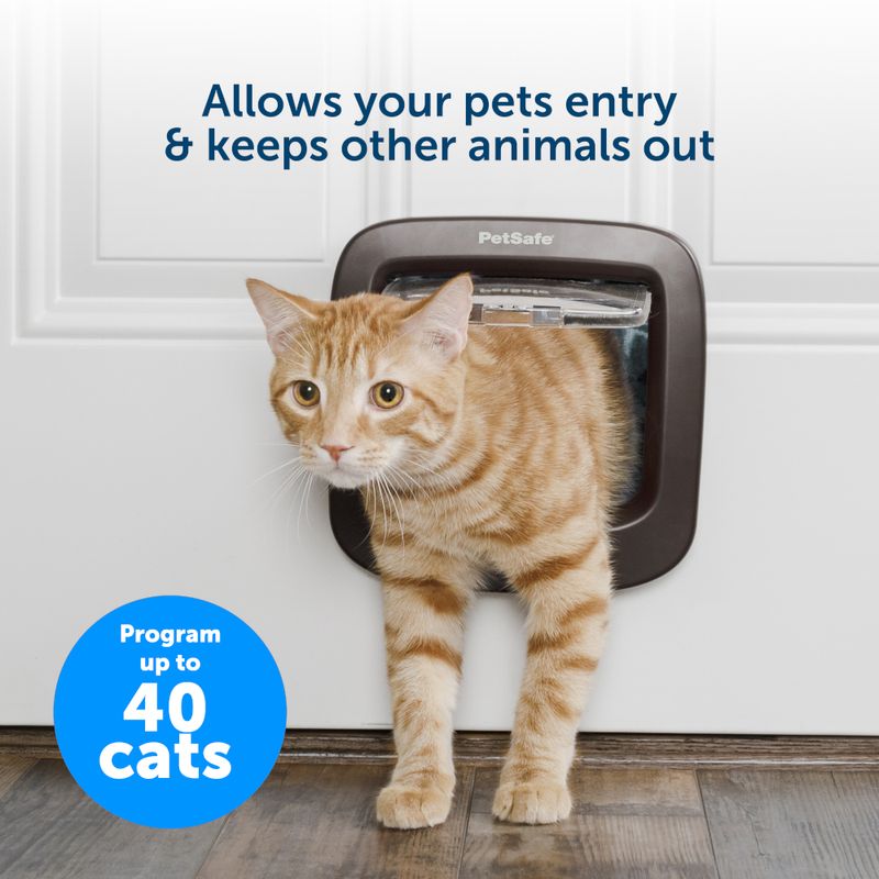 PetSafe Microchip Katzenklappe zu TOP-Preisen