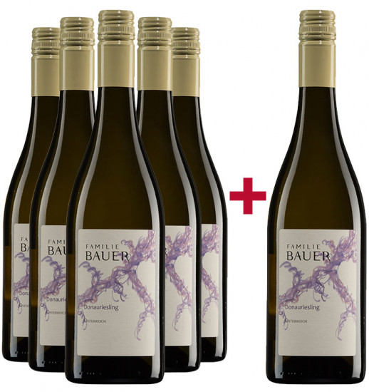 5+1 Donauriesling Bio Paket - Weingut Familie Bauer