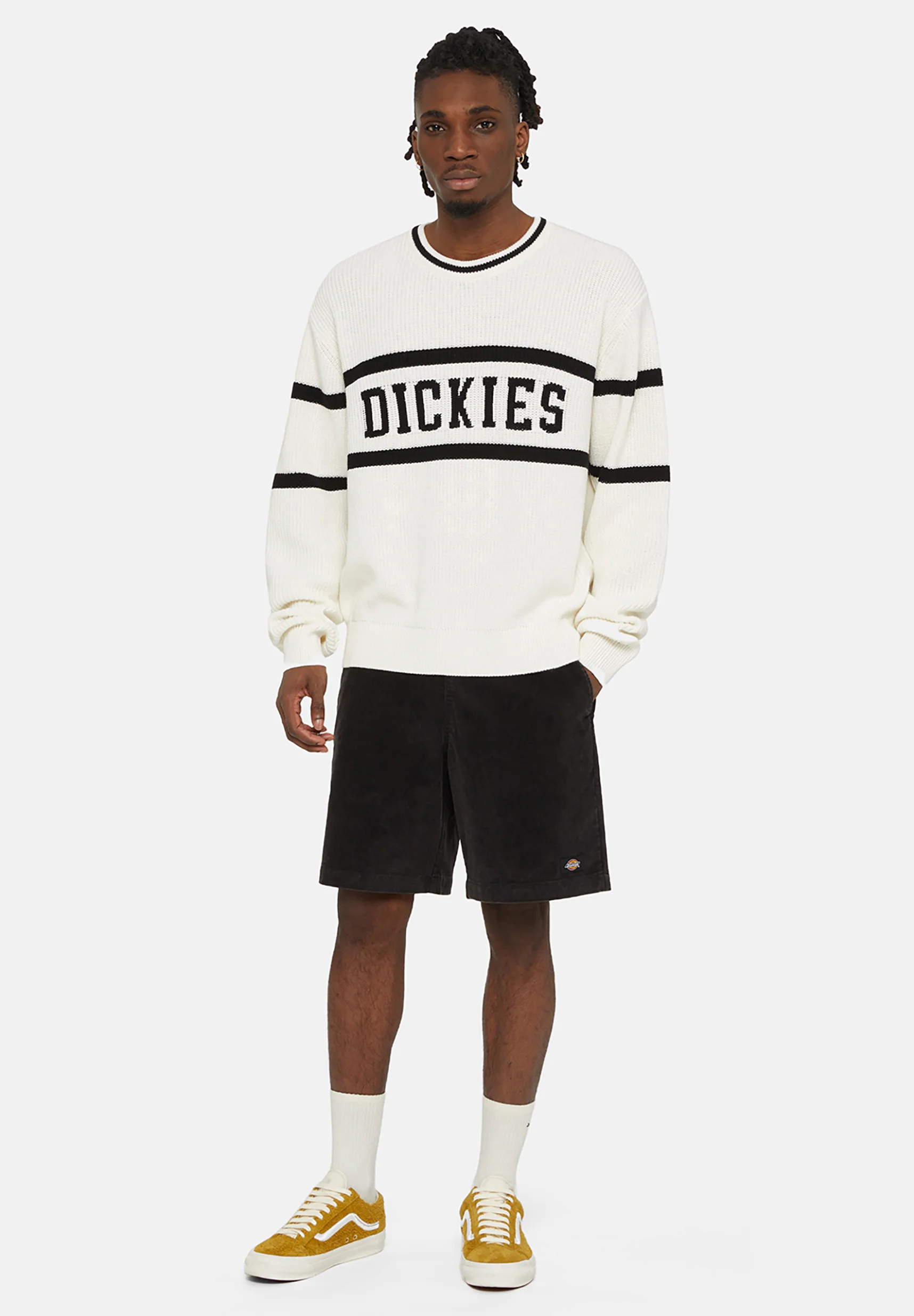 Dickies MELVERN - Suéter