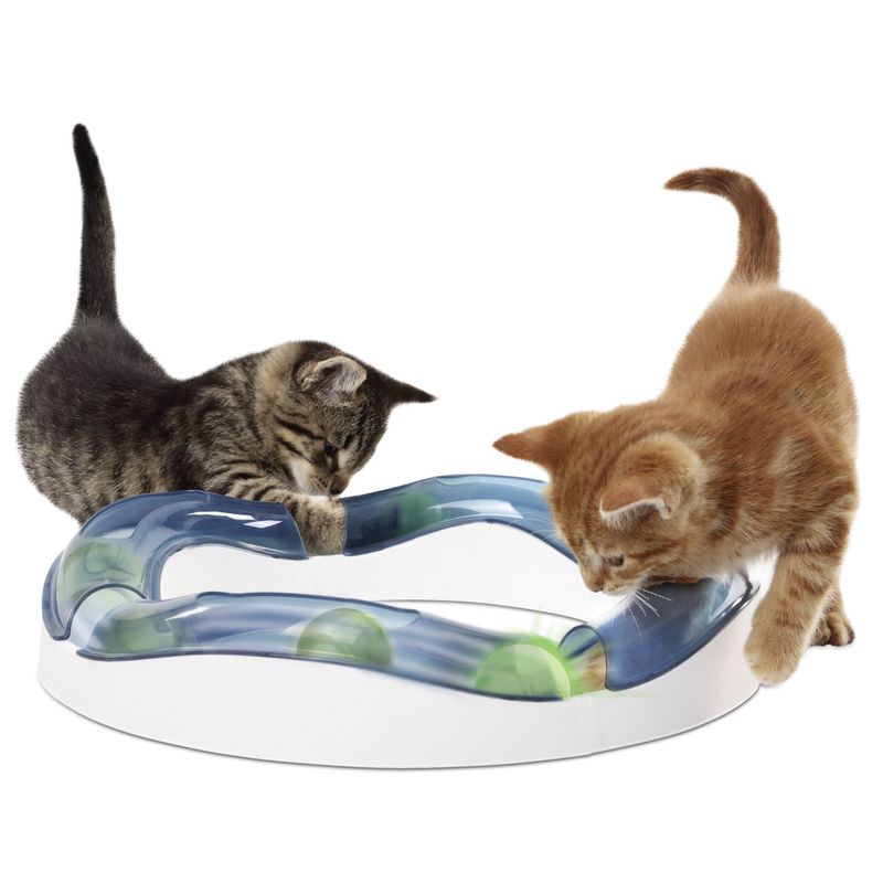 Catit Design Senses Tempo Spielschiene zu TOP-Preisen % | bitiba
