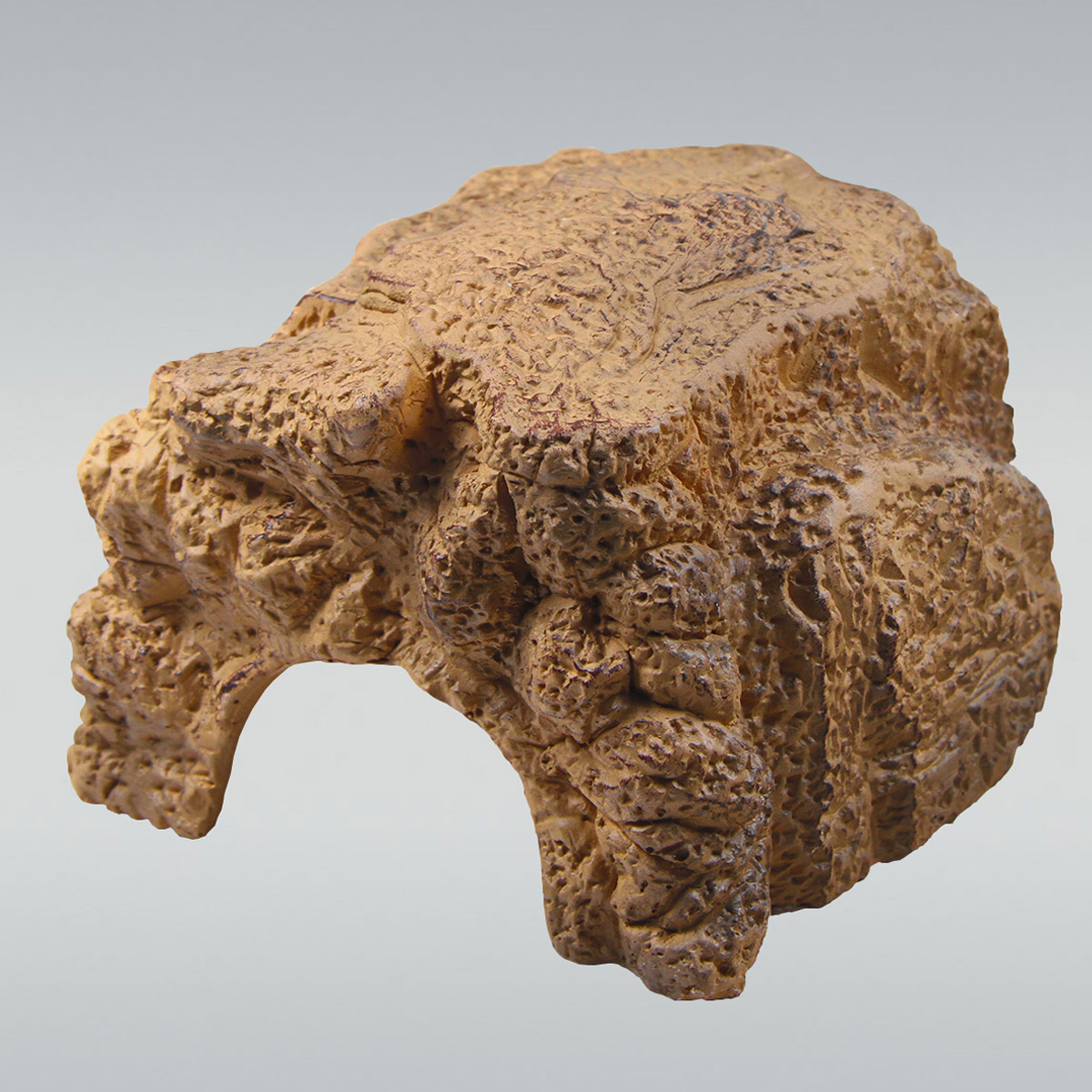 JBL Höhle für Terrarien ReptilCava sand kaufen