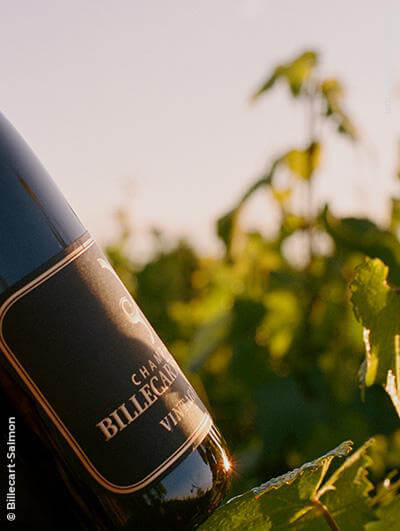 Billecart-Salmon : Vintage 2013