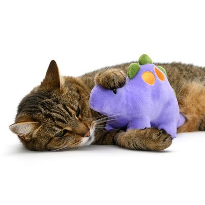 Katzenspielzeug Stella