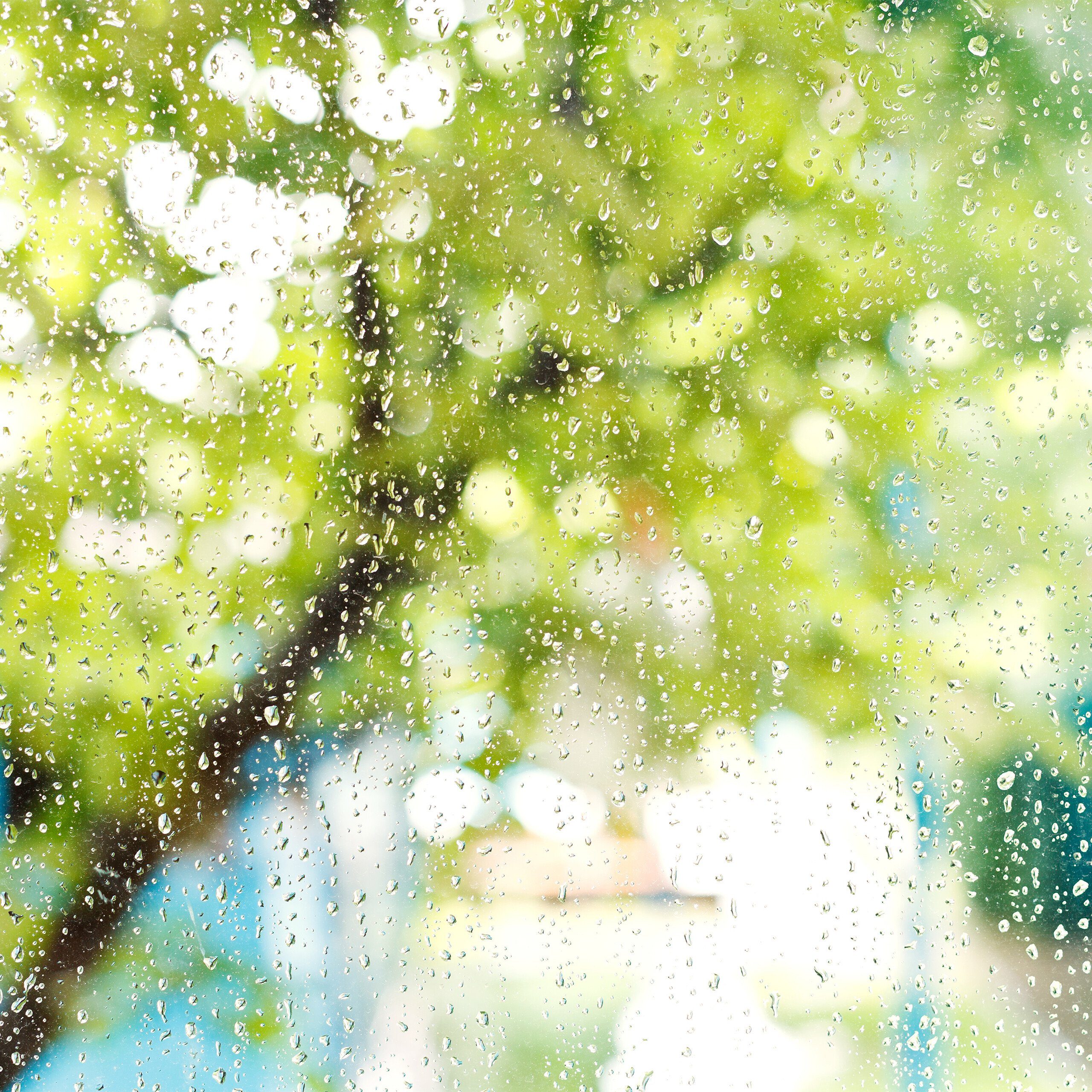 relaxdays 2er Set Regenmesser mit Halterung Regenmesser