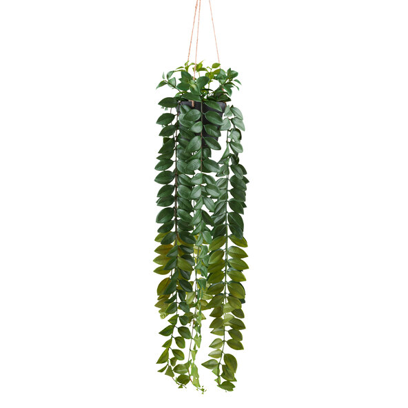 Künstl. Columnea Hänger im Kunfststoffhängetopf, 85 cm