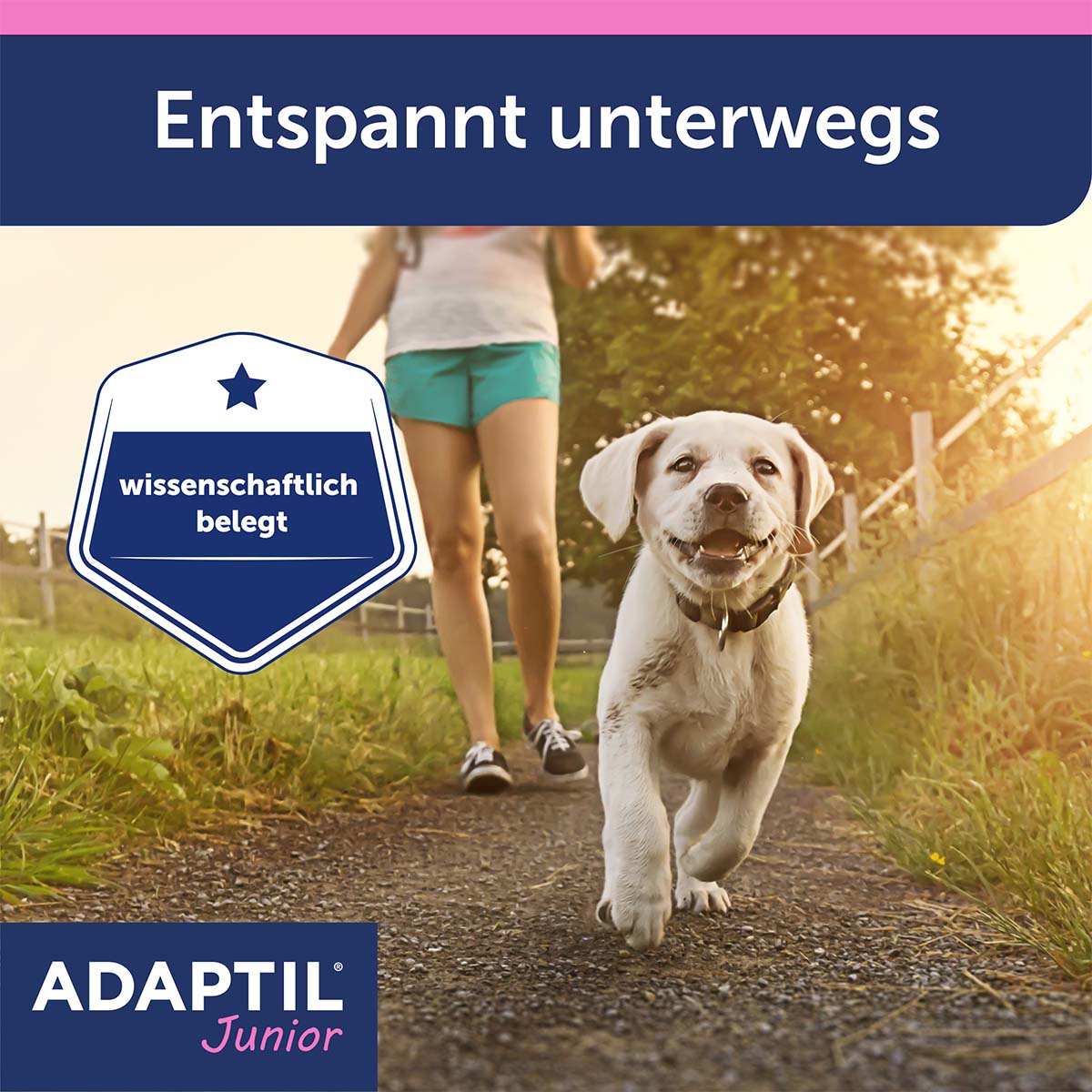 Adaptil Junior Halsband günstig kaufen bei ZooRoyal