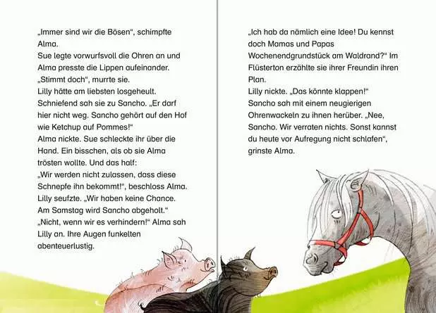 Leserabe - 3. Lesestufe: Die Hufeisenbande