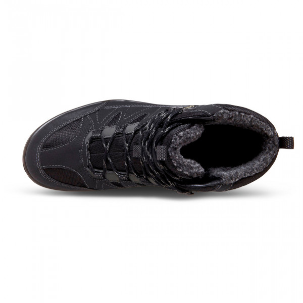 Ecco - Xpedition III GTX Synthetic - Wanderschuhe