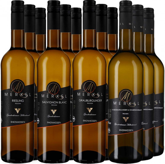 Großes Weißweinpaket BIO- Weingut Burgunderhof Merkel