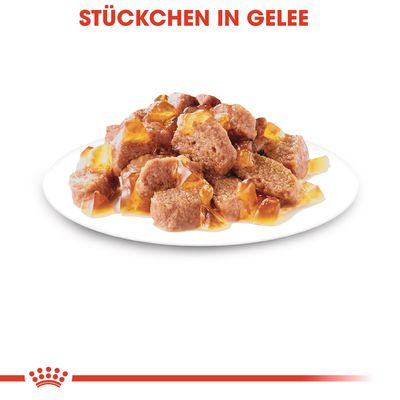 Royal Canin Sterilised in Gelee