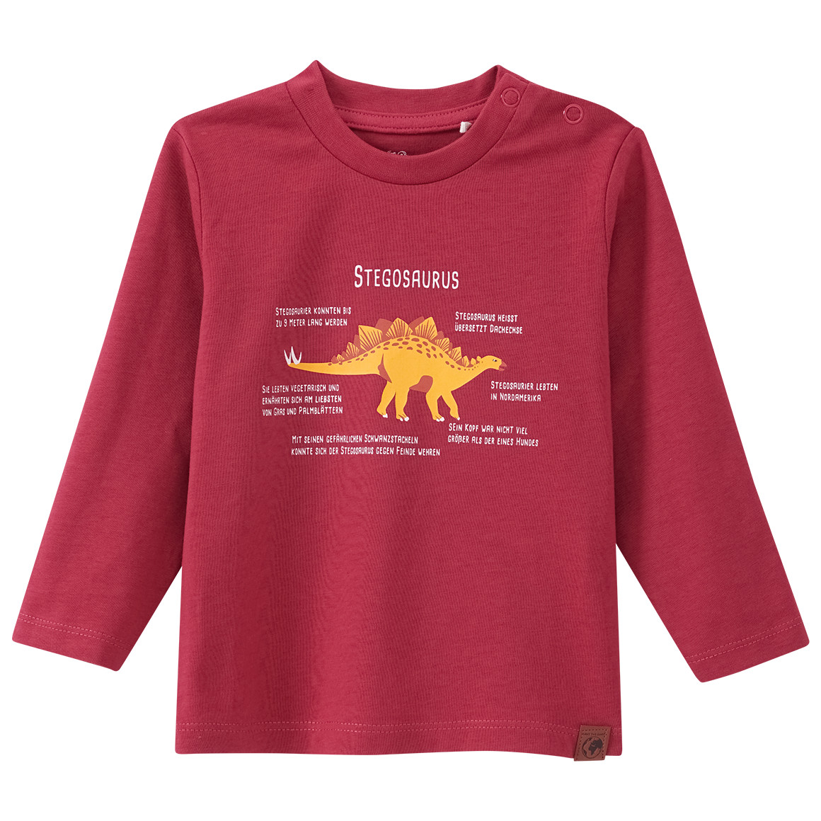 Baby Langarmshirt mit Stegosaurus-Print