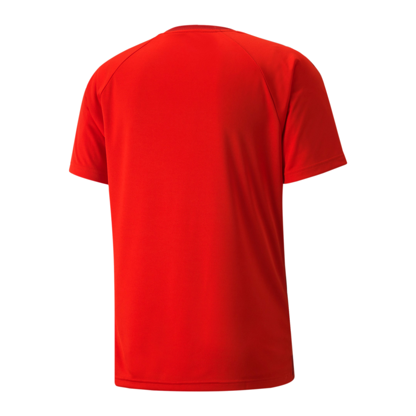 PUMA teamVISION Trikot Rot F01