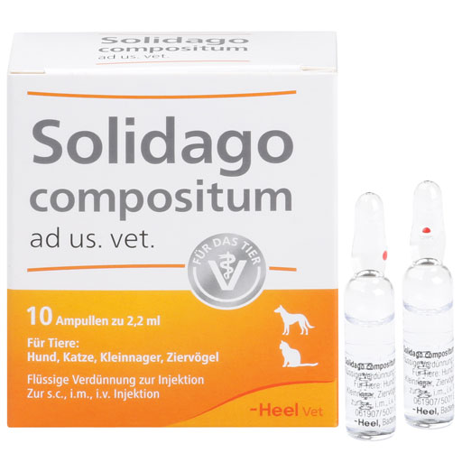 SOLIDAGO COMPOSITUM ad us.vet.Ampullen  10 St  Ampullen