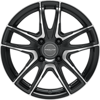 PROLINE PXV schwarz - ATU