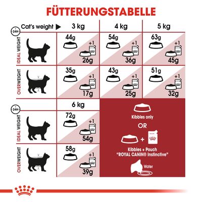 Royal Canin Regular Fit