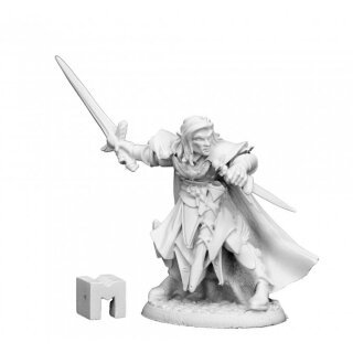 Anduriel Elf Paladin