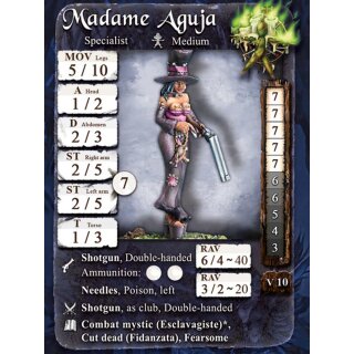 Madame Aguja