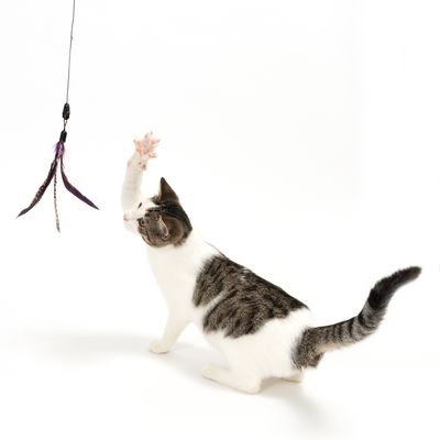 Katzenangel 3 in 1 XXL