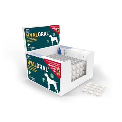 Hyaloral große & sehr große Rassen