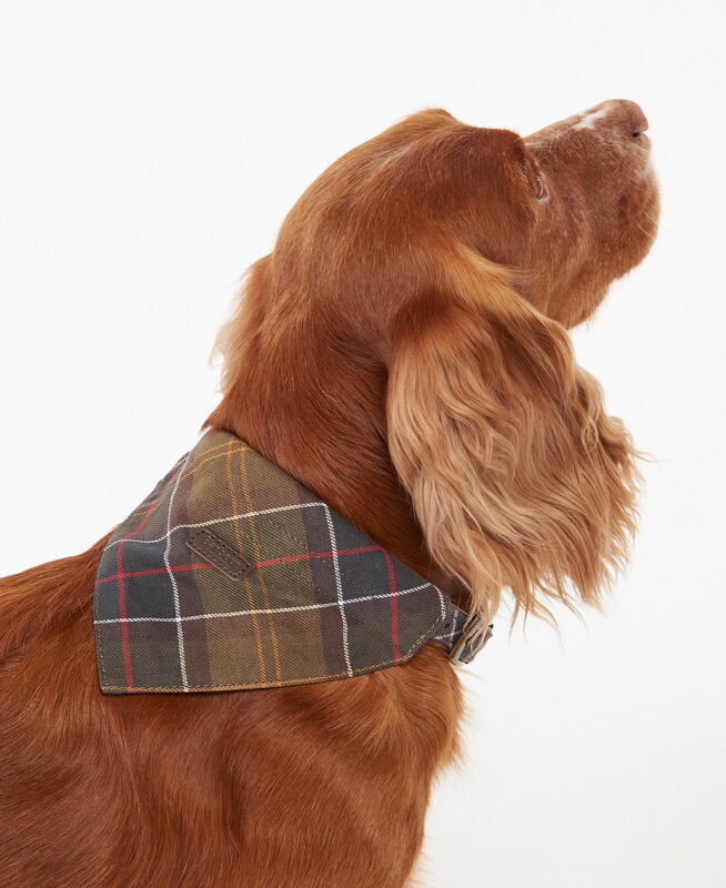 Barbour Barbour Hundehalstuch