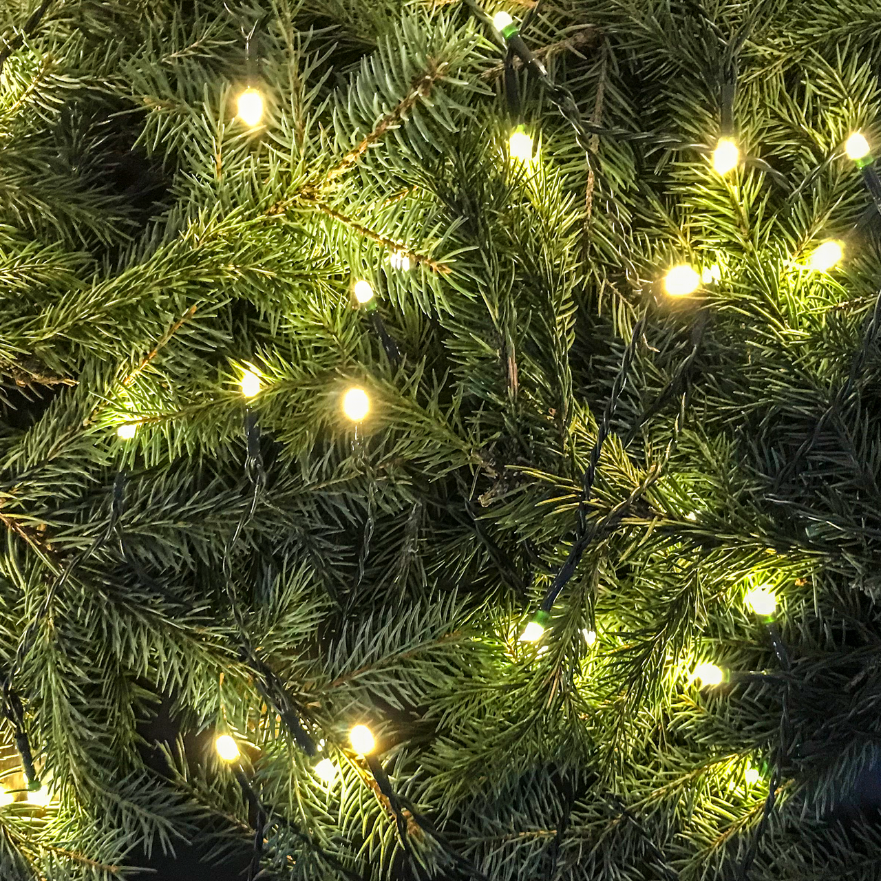 Weles 80er LED Lichterkette warmweiß