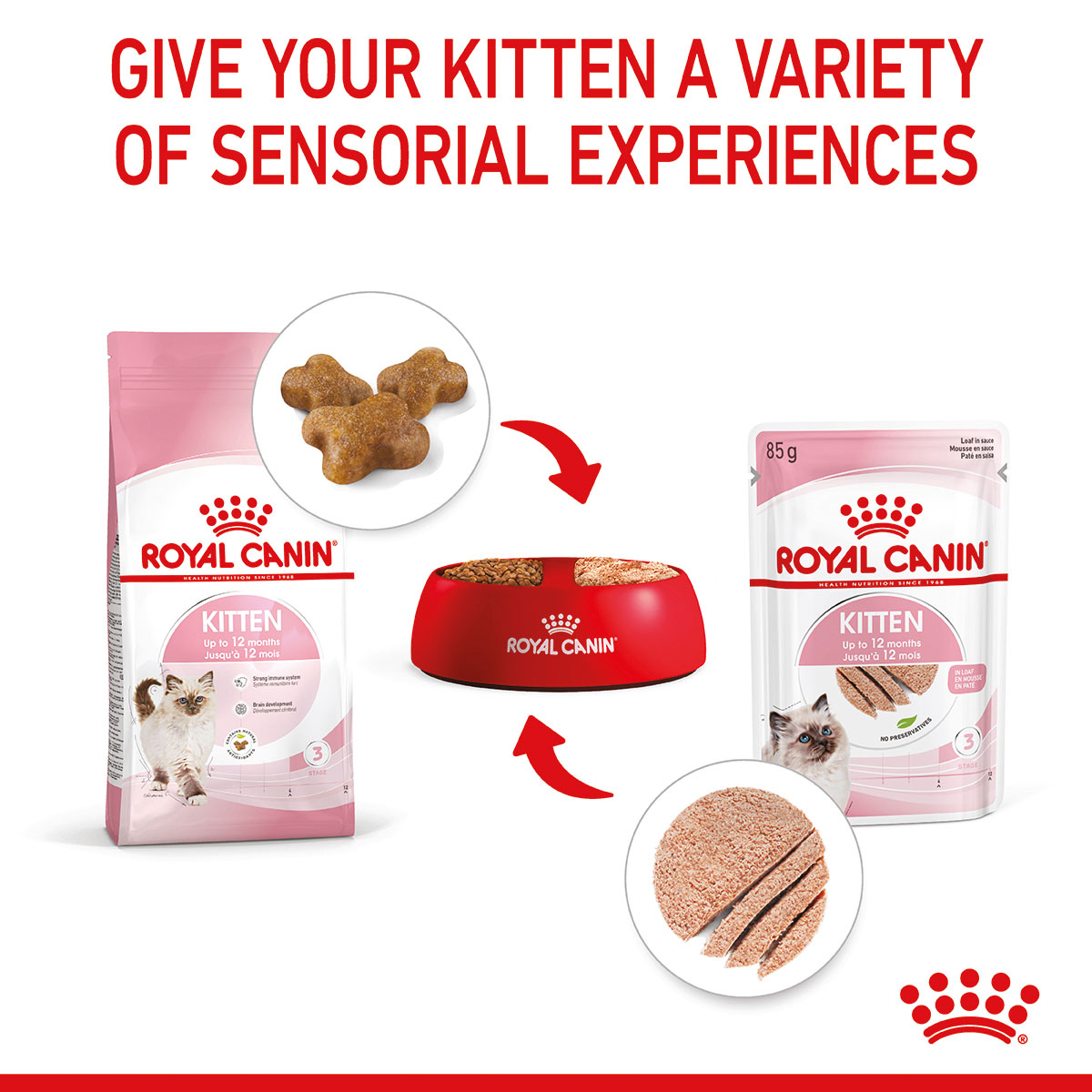 ROYAL CANIN KITTEN Nassfutter in Mousse für Kätzchen bei ZooRoyal