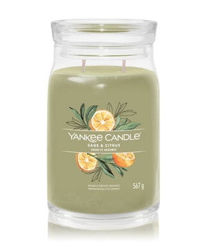 Yankee Candle Sage & Citrus Duftkerze-368 g