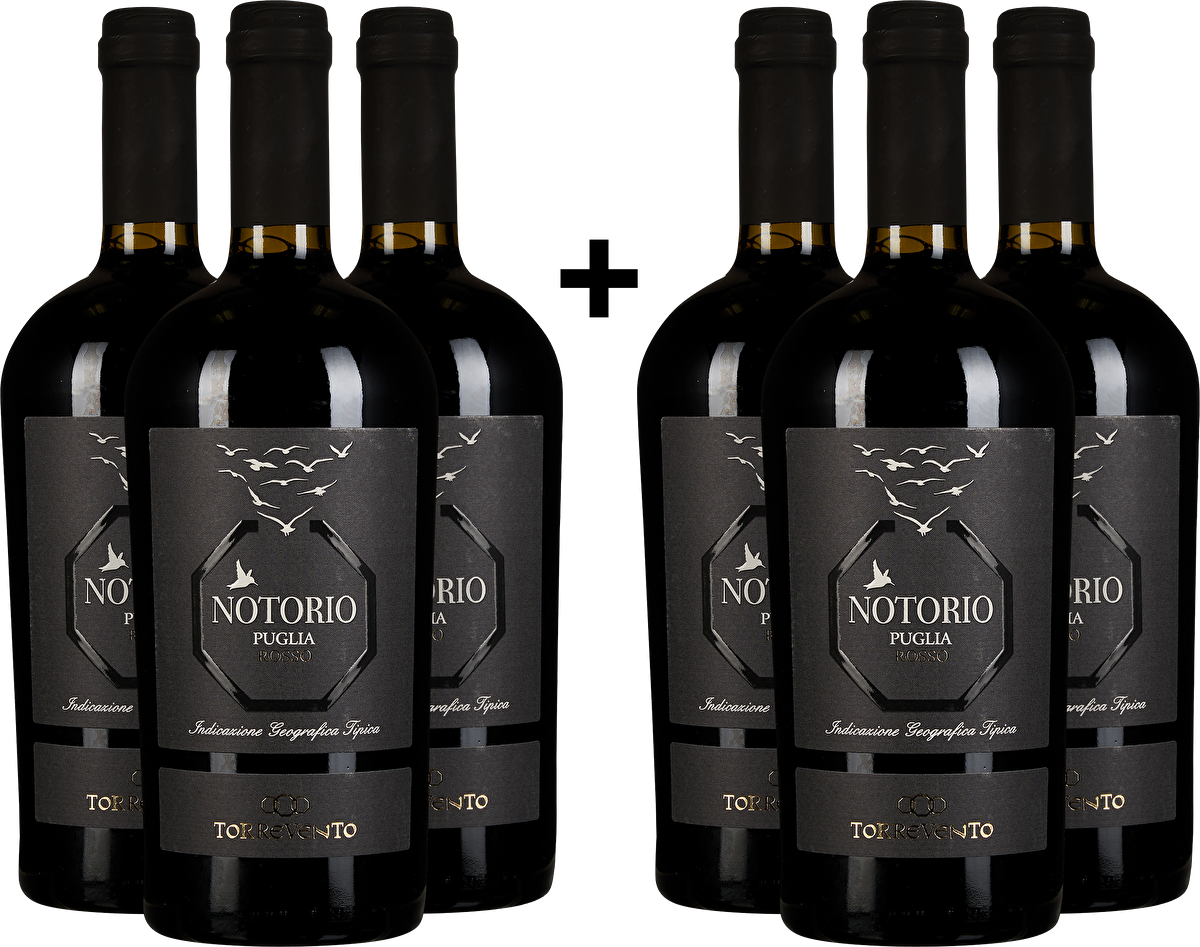 Torrevento 3+3-Set: Notorio Rosso Puglia 2022