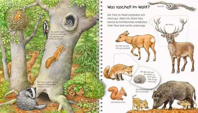 Ravensburger Wieso? Weshalb? Warum? Mein junior-Lexikon: Tiere
