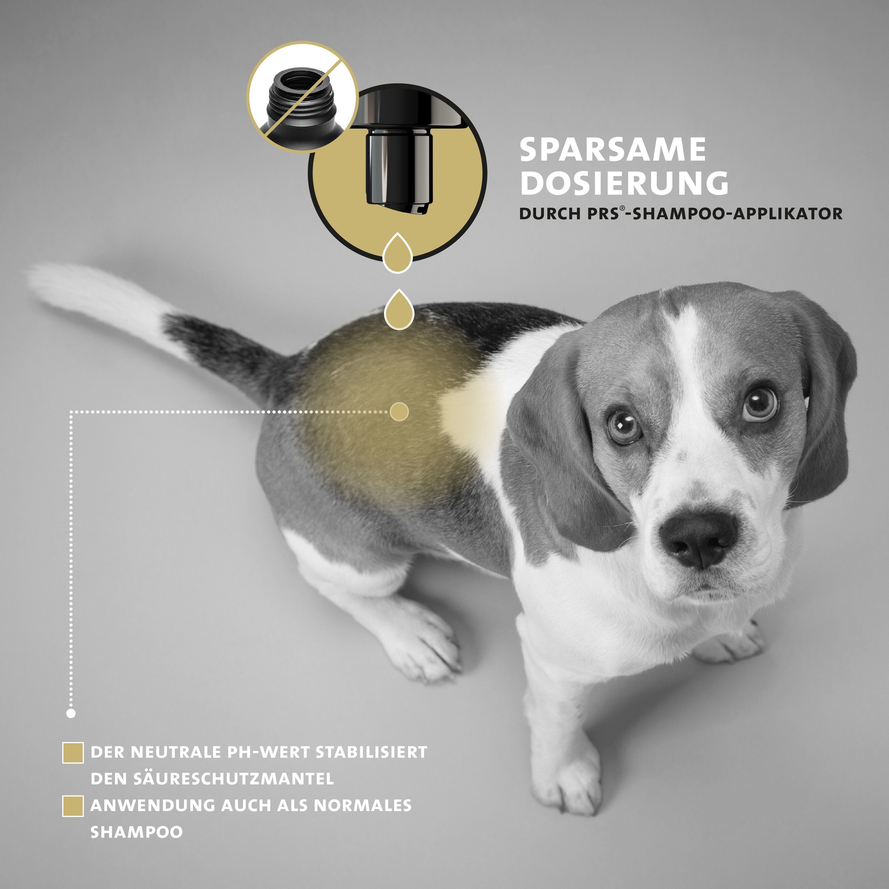 Peticare Tiershampoo petDog Health 2104 - Parasiten, Juckreiz Shampoo für Hunde, 250 ml, bei Juckreiz, Pilz & Milben, Flohbefall, beruhigt u. schützt die Haut