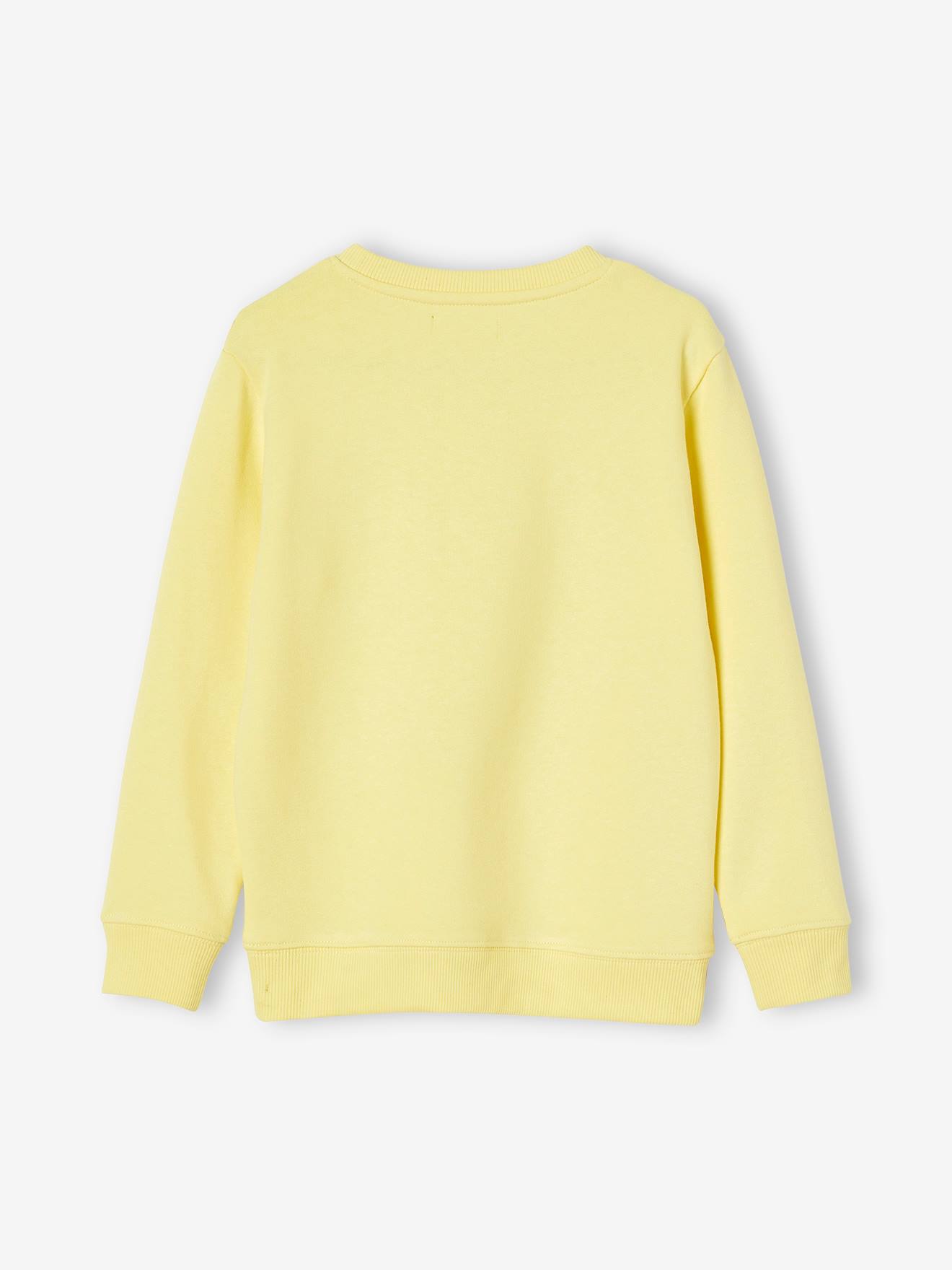 Sweat col rond imprimé garçon BASICS bleu
