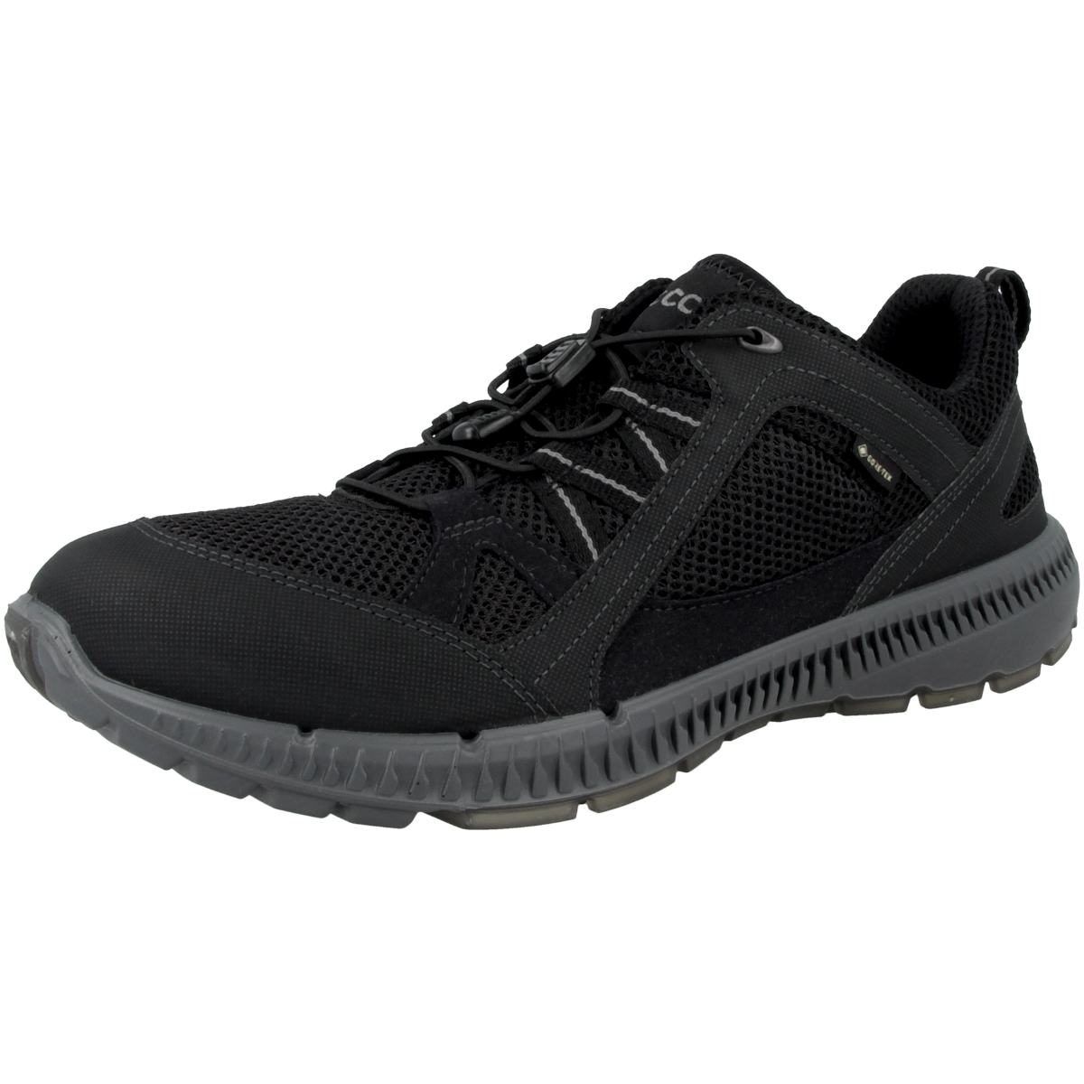 Ecco Terracruise II Outdoorschuhe schwarz