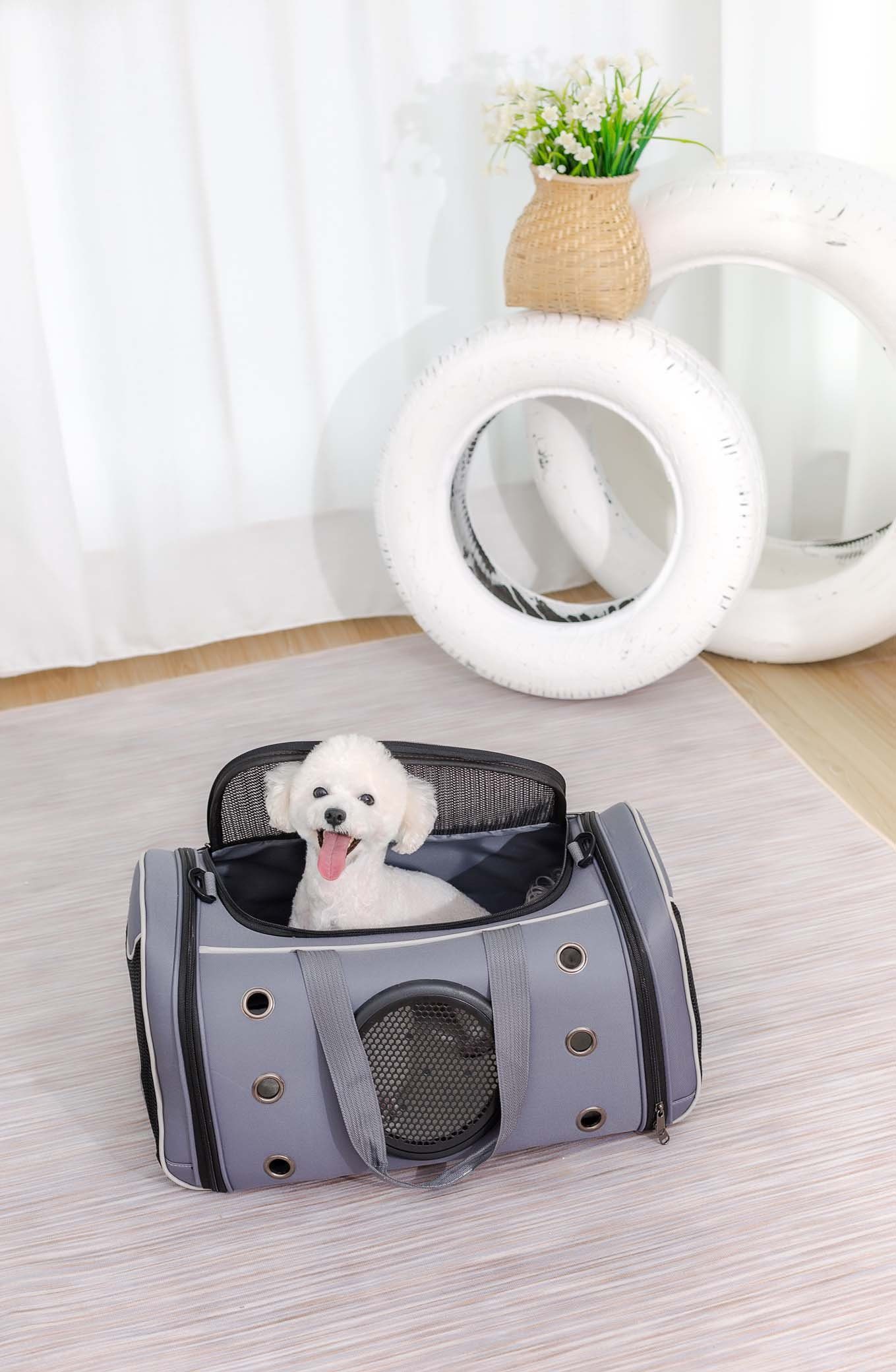 RAIKOU Tiertransporttasche Haustier Raumkapsel-Tasche / Transportboxen / Rucksack Tragetasche bis 20,00 kg, atmungsaktive, klare Sicht