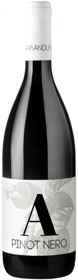2019 Pinot Nero Friuli Isonzo DOC trocken - Amandum