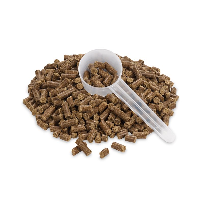 Concept for Life Mobility Pellets zu TOP-Preisen