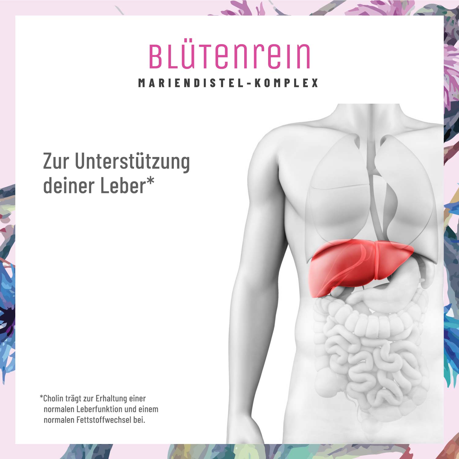 Komplex mit Mariendistel (Silymarin). Artischocke. Löwenzahn und Cholin - Blütenrein - NATURTREU®