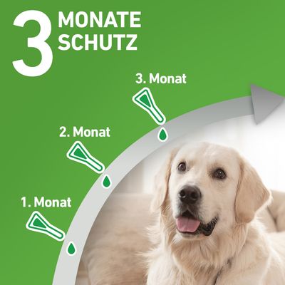 Frontline® Combo Spot-on Hund M (10 - 20 kg)
