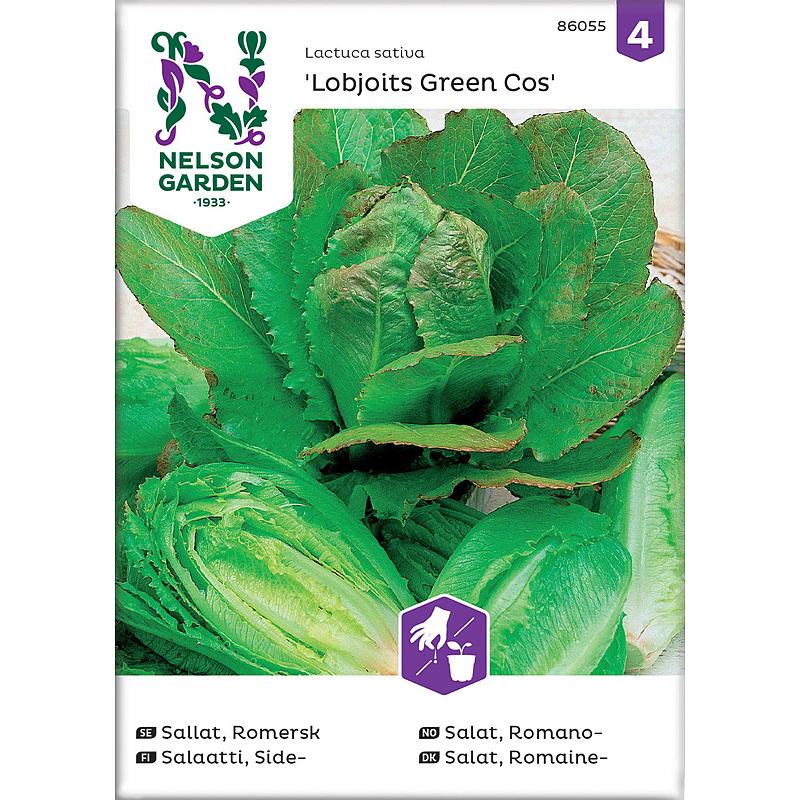 Nelson garden Frø Salat Romano-, Lobjoits Green Cos