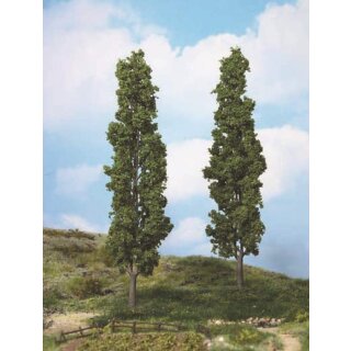 Pappeln 27 cm (2 Stk.)
