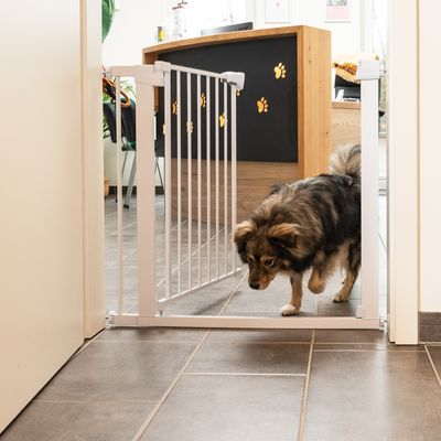TIAKI Weißes Hundegitter mit 7 cm Verlängerung