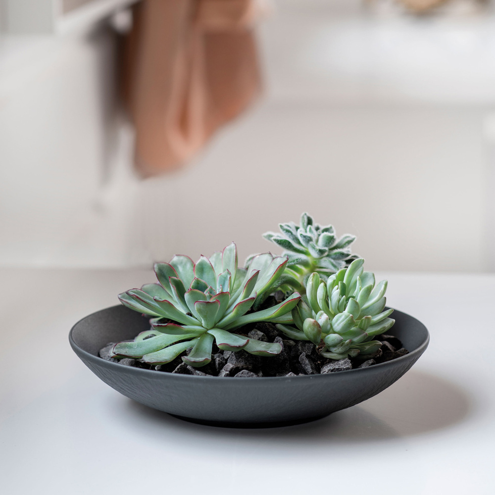 Villeroy & Boch Coupe plate Manufacture Rock Bol