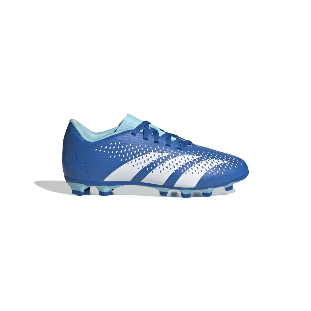 adidas Predator Accuracy.4 FxG IE9431 / blau