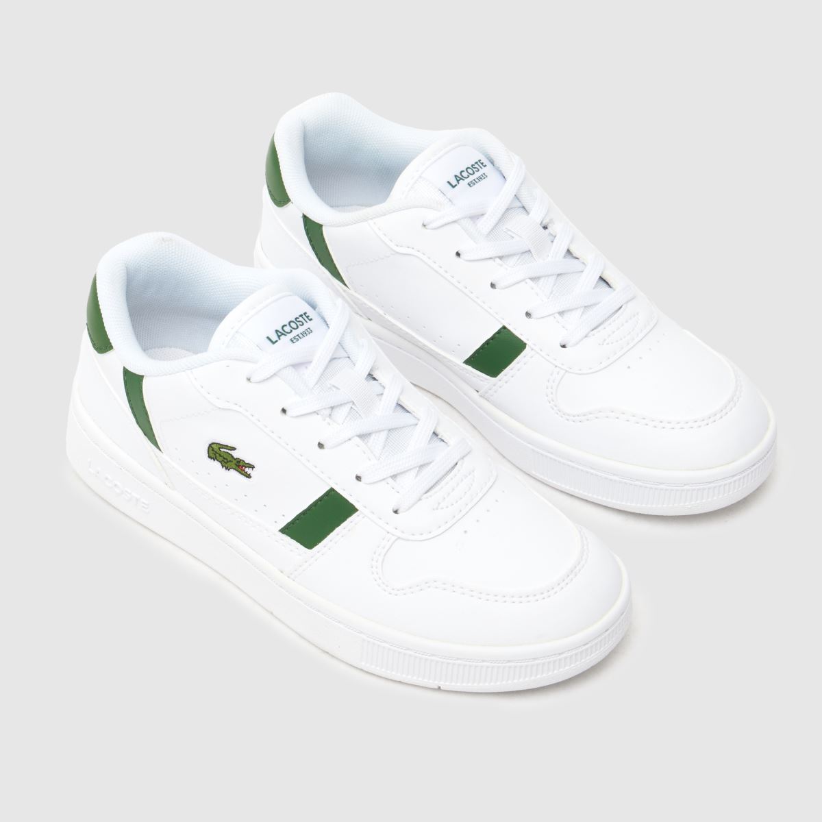 Komplet superg Lacoste s sponko za kratke hlače v beli in zeleni barvi za fante in otroke