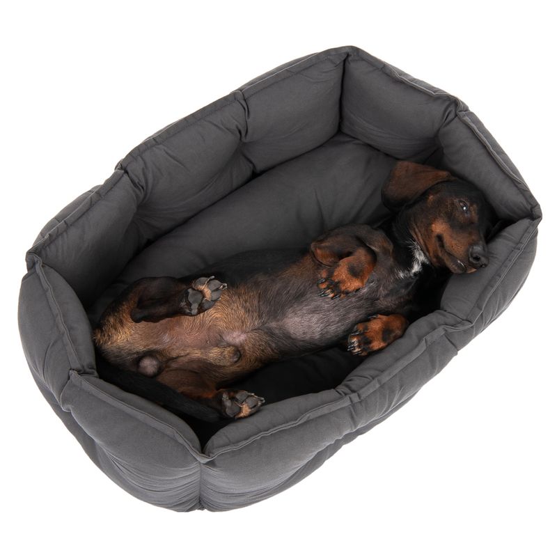 Kuschelbett Silky zu TOP-Preisen