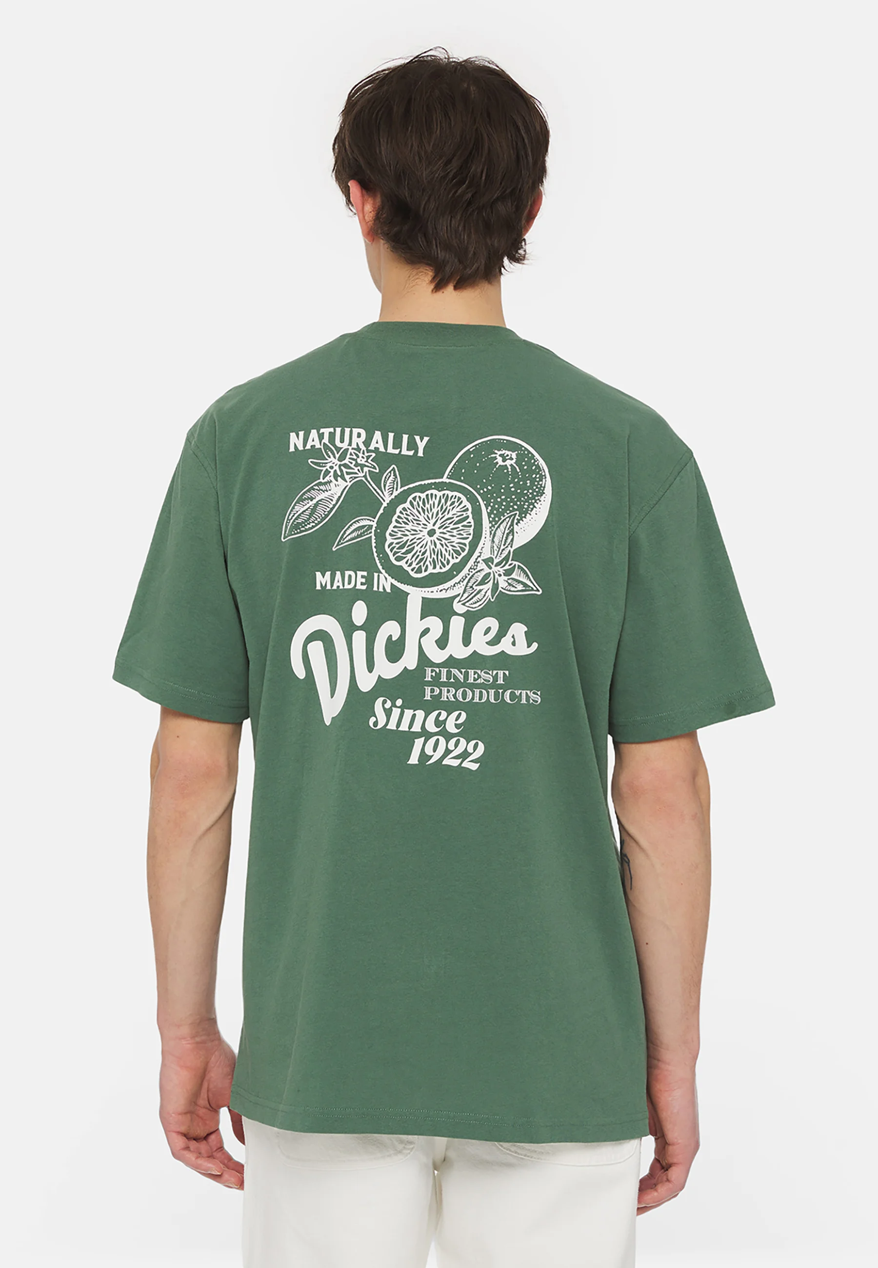 Dickies RAVEN TEE - Camiseta con estampado