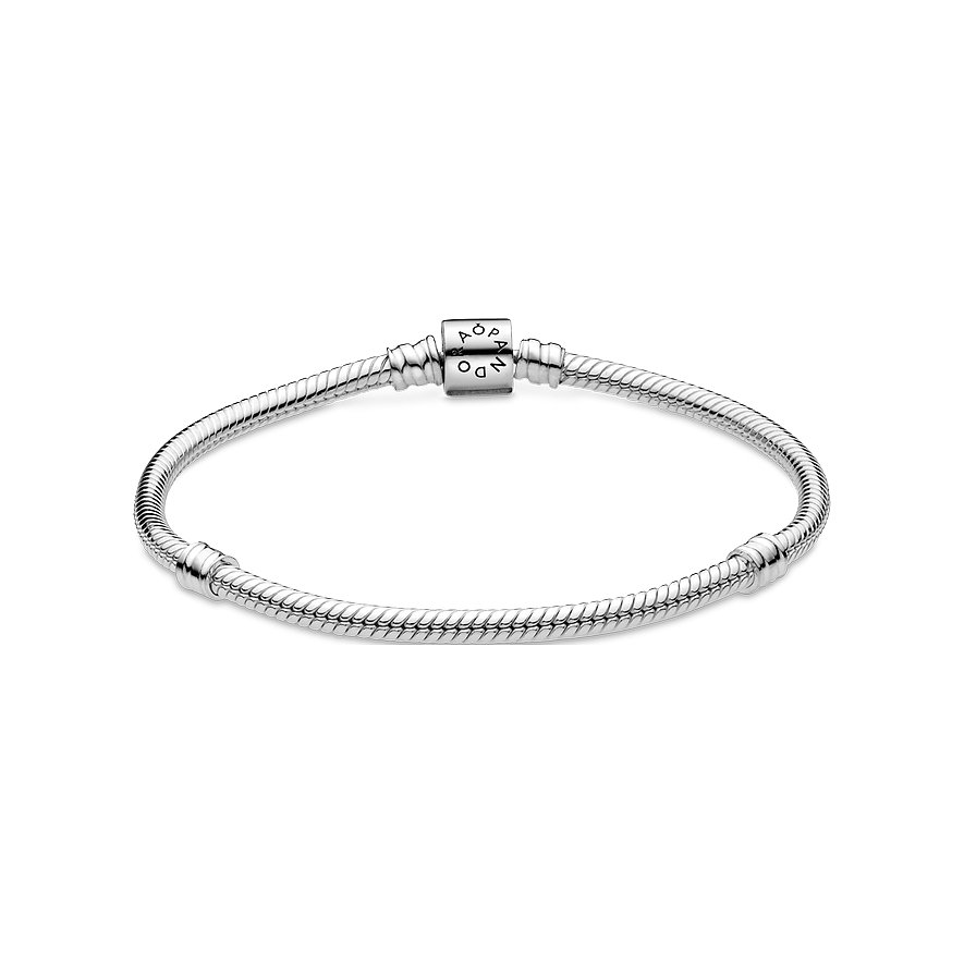Pandora Armband Moments