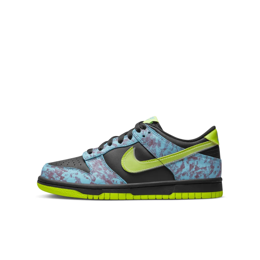 Nike Dunk Low SE DV1694-900 / bunt