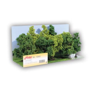 Laubwald Bäume 11-13 cm (12 Stk.)