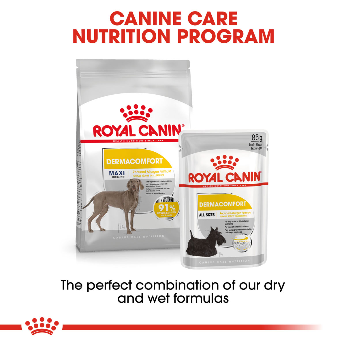 ROYAL CANIN DERMACOMFORT MAXI Trockenfutter für große Hunde mit empfindlicher Haut
